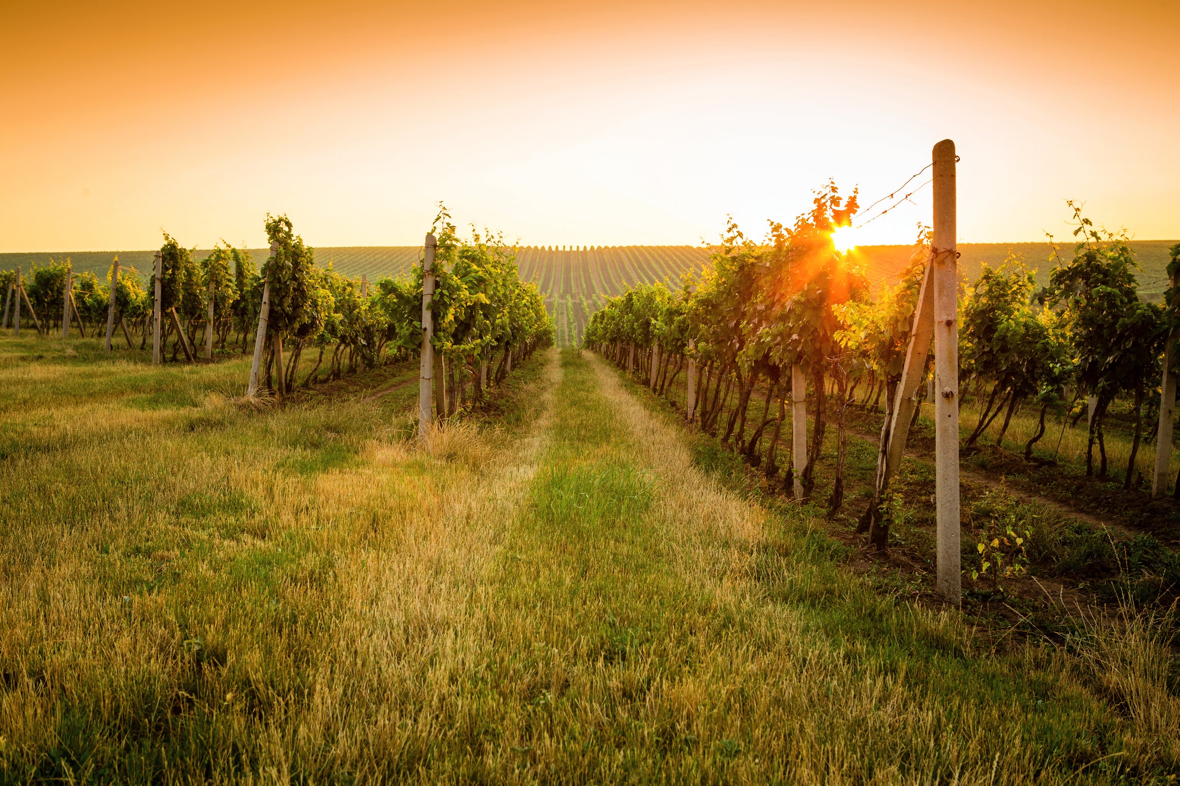 Australian Sparkling Wines