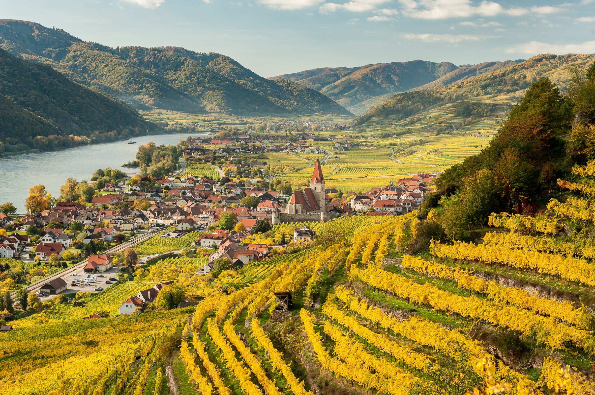 Austrian White Wines