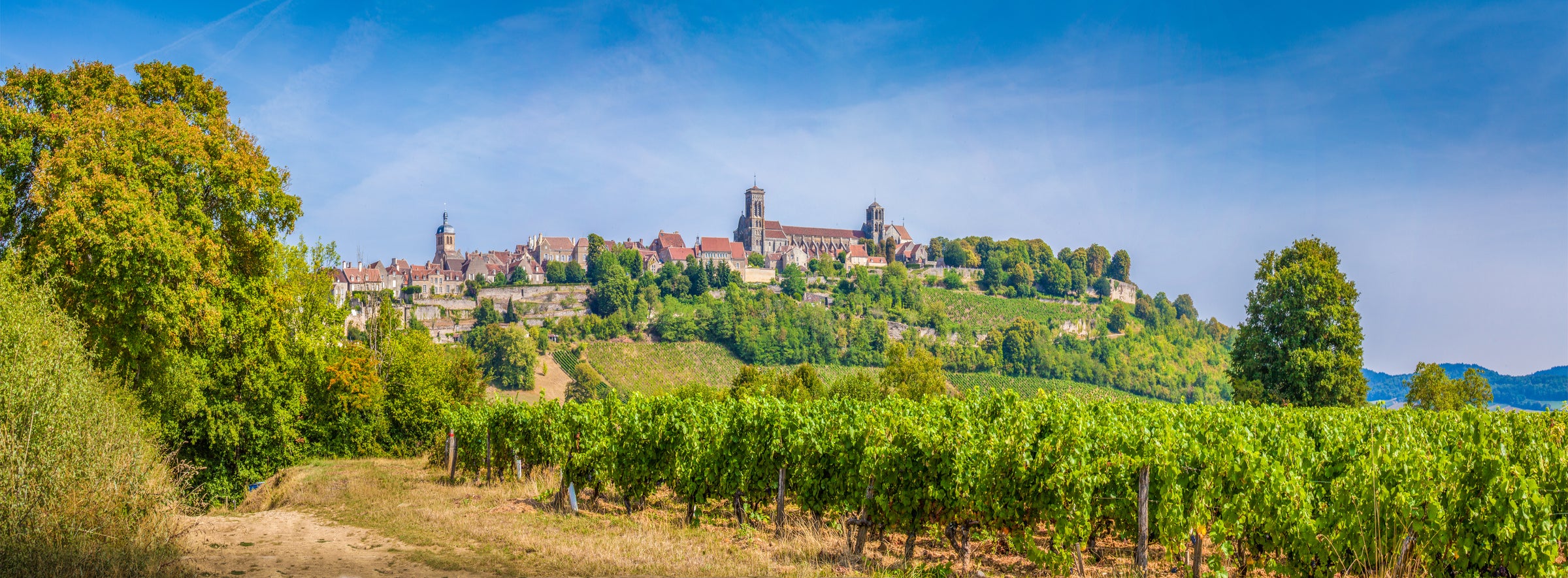 French Rosé Wines