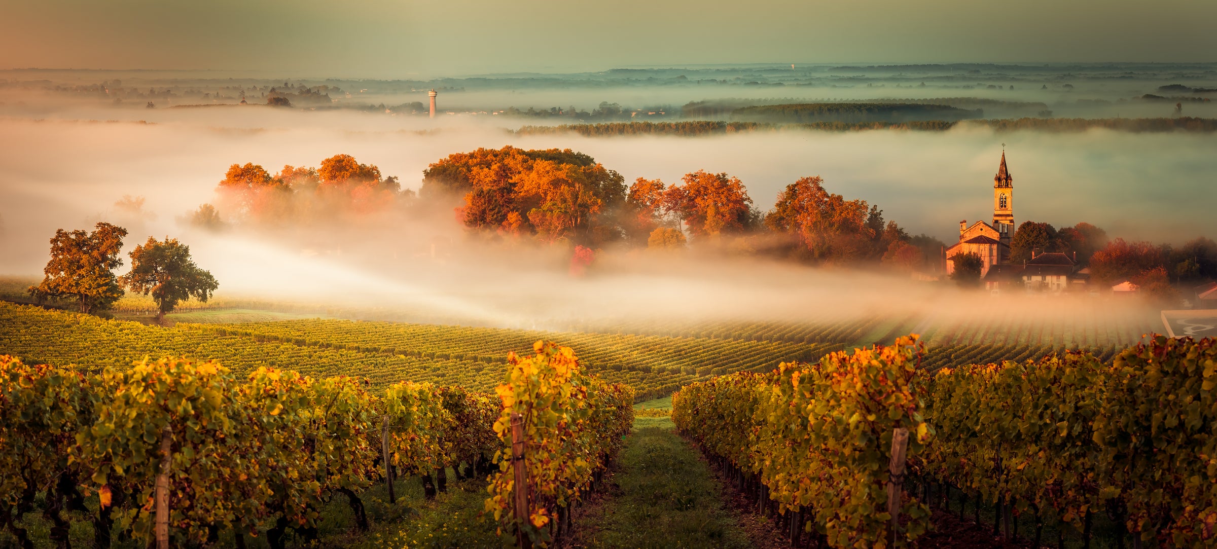 German White Wines