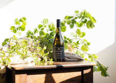 Lawson's Dry Hills Pinot Gris Reserve